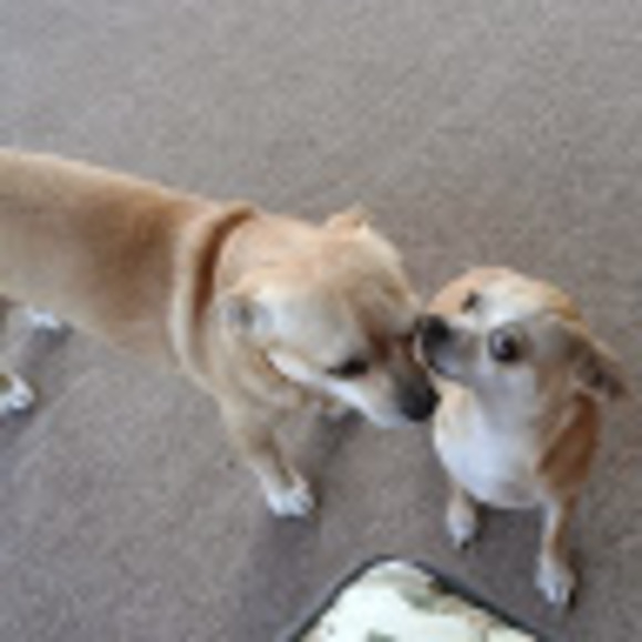 Meet your Posher, Kenneth - Picture 1 of 1